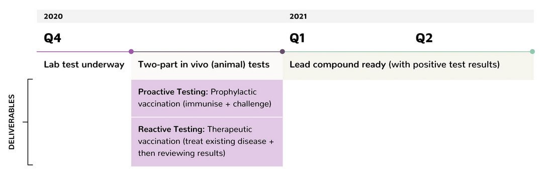 pipeline development