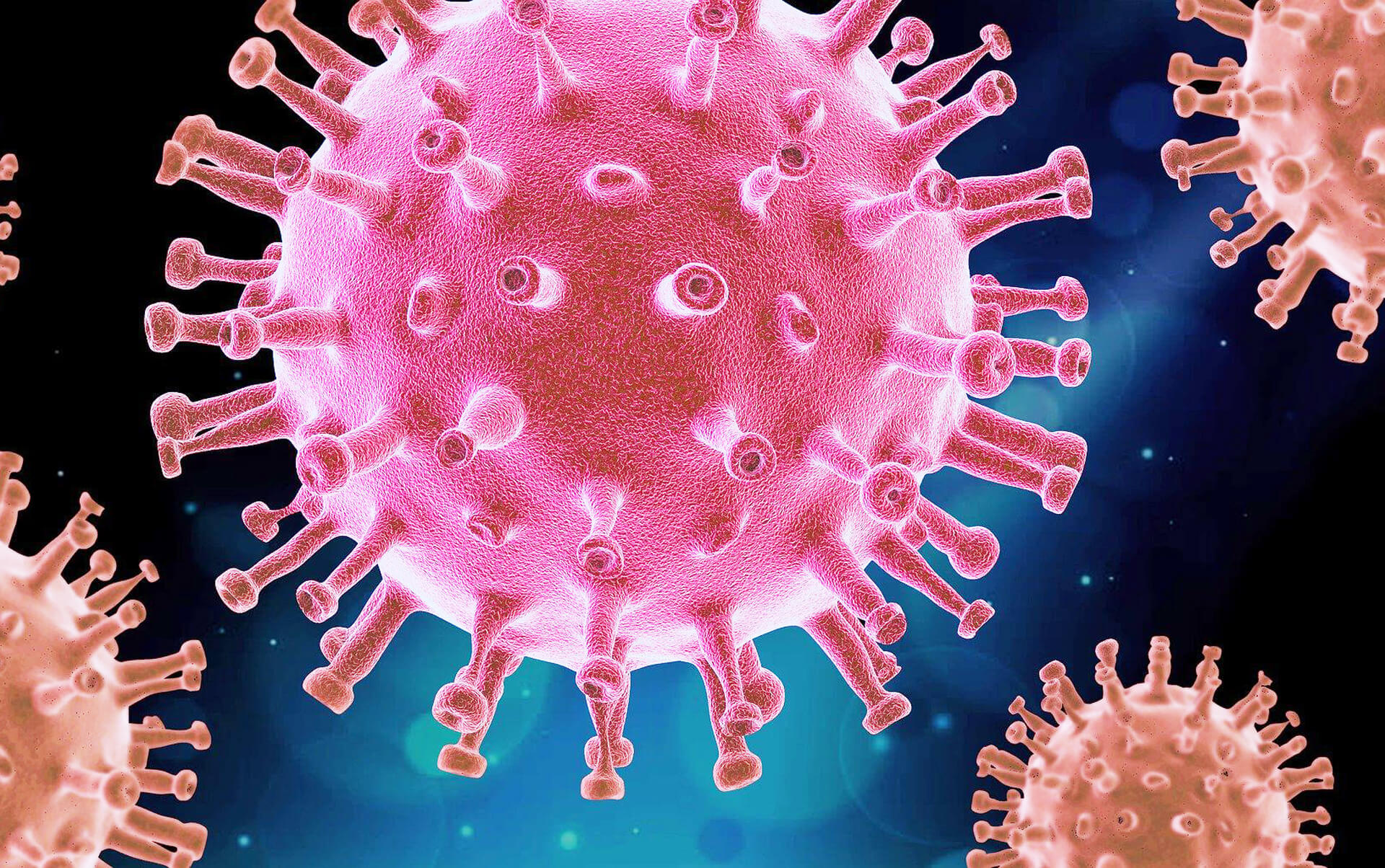 corona virus visual
